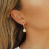 Clam Shell Thick Hoop Earrings